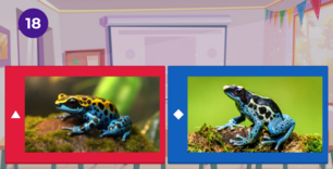 Abbildungen von zwei sehr farbigen Fröschen. Eins der Bilder ist echt, eins KI-generiert