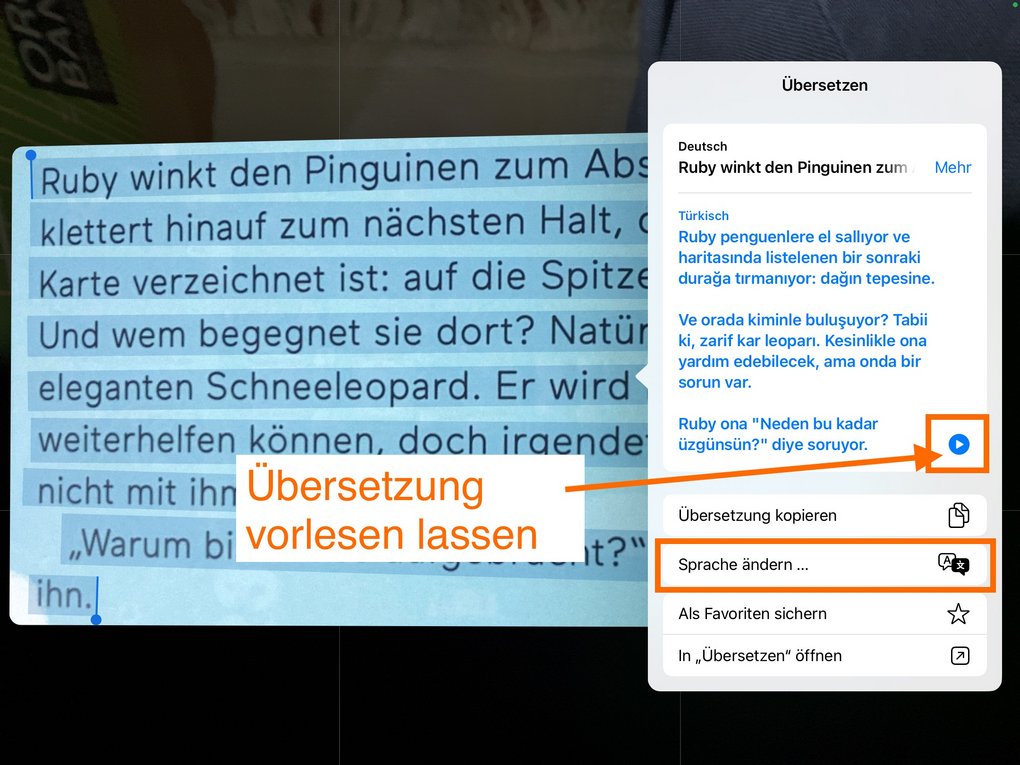 App-Screenshot - Infos im Text