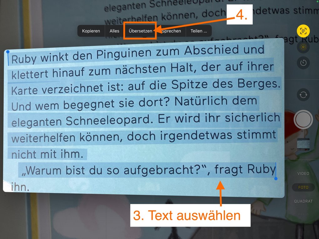 App-Screenshot - Infos im Text