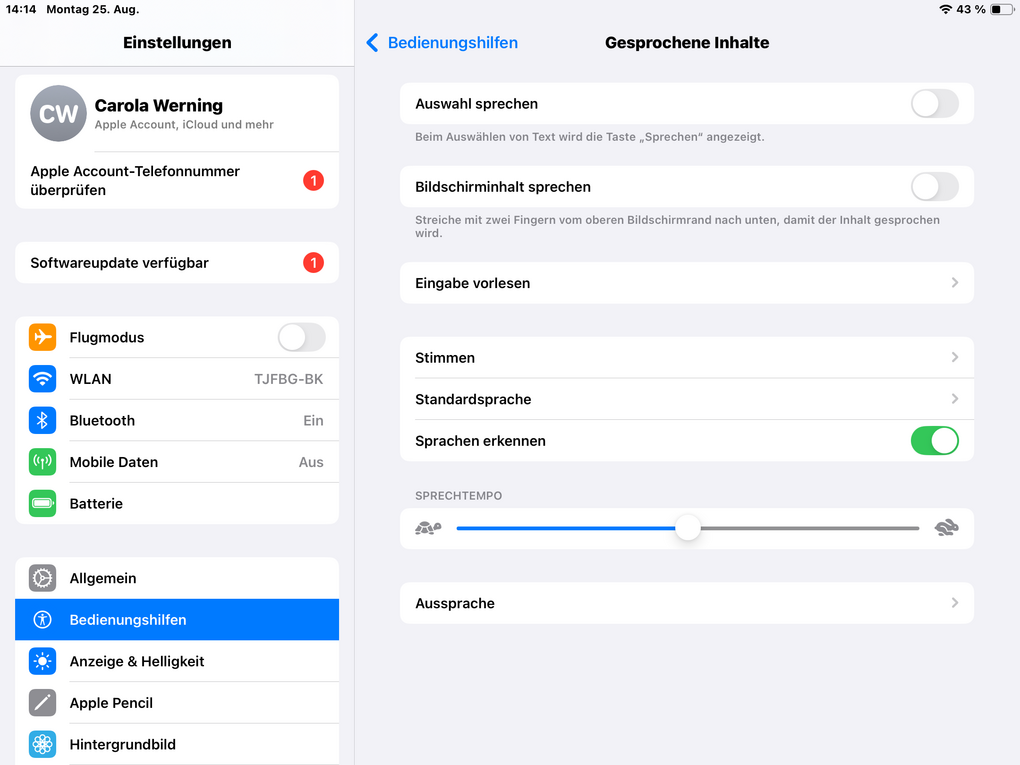 Stimmen anpassen über die Bedienungshilfen vom iPad