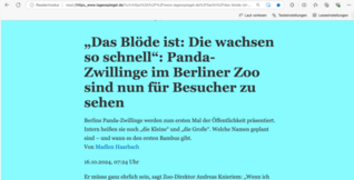 Darstellung einer Webseite im Plastischen Readers mit großer Schrift vor hellblauem Hintergrund