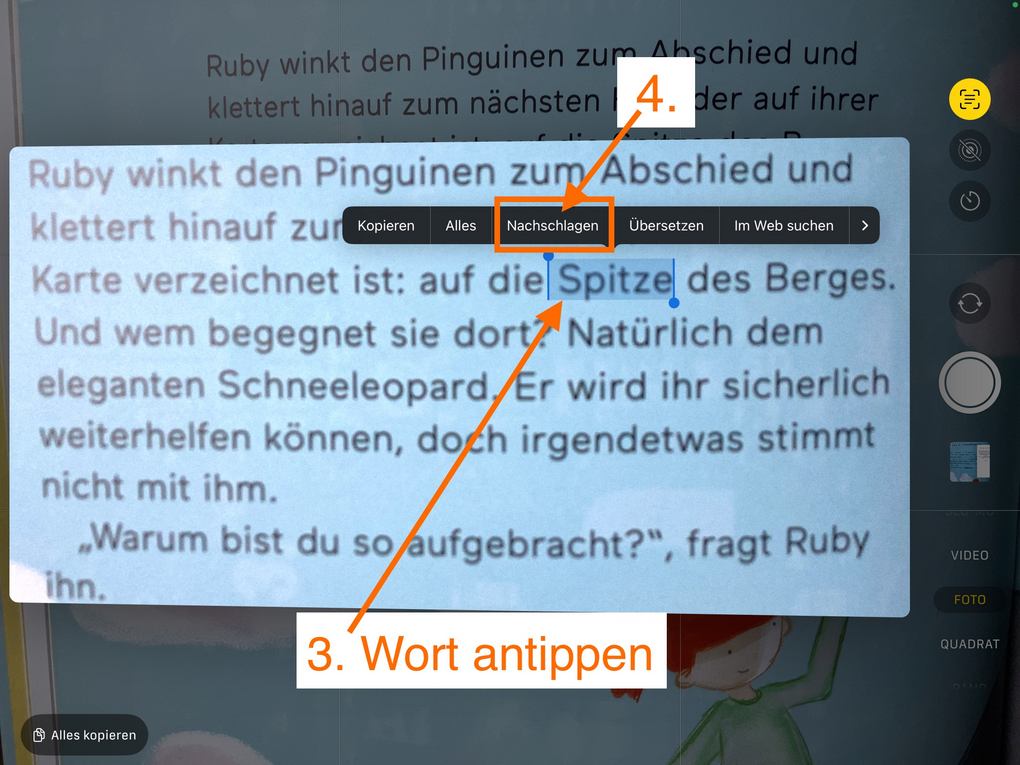 App-Screenshot - Infos im Text