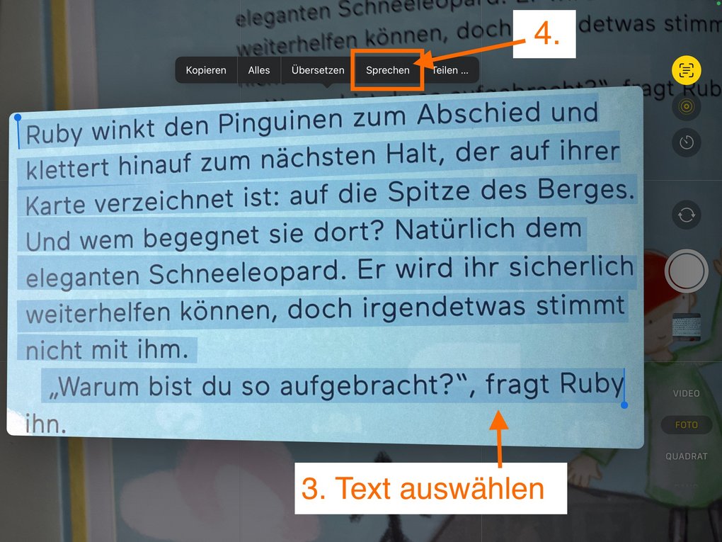 App-Screenshot - Infos im Text